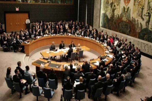 قرار مجلس الأمن يأمر بوقف النار في غزة وعودة الأهالي المشردين لديارهم