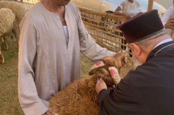 قس يشترى خروف العيد لمشاركة المسلمين فى احتفالاتهم بعيد الأضحى.. لايف