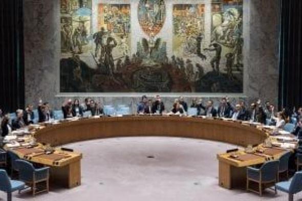 وكيل دفاع النواب: قرار مجلس الأمن نقطة انطلاق لإنهاء الصراع فى غزة