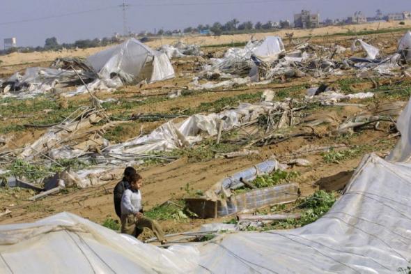 لم يكتف بالبشر.. العدوان الإسرائيلي يدمر الأراضي الزراعية في غزة