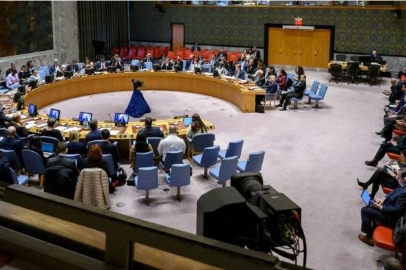مجلس الأمن يطالب بانهاء حصار “الفاشر” بالسودان ووقف القتال