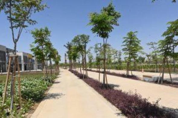 وزير الإسكان: زراعة 46 ألف شجرة ونخلة مثمرة وغير مثمرة بمشروع الحدائق المركزية