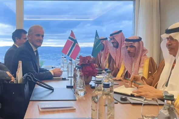وزير الخارجية يلتقي رئيس وزراء النرويج ويستعرضان العلاقات الثنائية