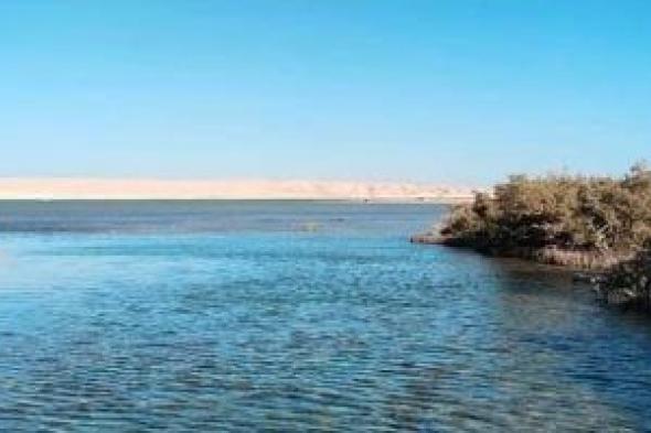 جزيرة أبو منقار إحداها.. جُزر بالبحر الأحمر كانت جزءا من الغردقة وانفصلت