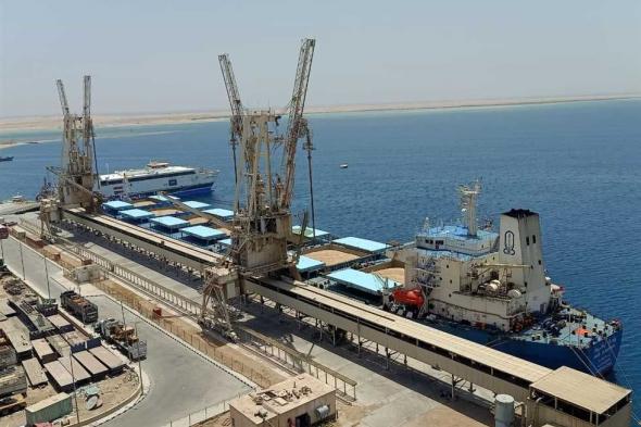 ميناء سفاجا يستقبل العبارة الرياض.. وتداول 1300 طن بضائع بميناء نويبع