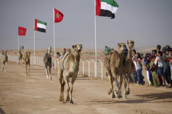 أبوظبي في «طانطان» إحدى ثمار التعاون بين الإمارات والمغرب