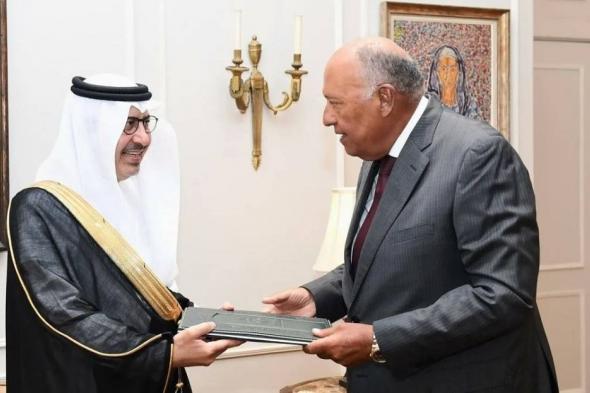 سفير المملكة لدى مصر يسلّم نسخة من أوراق اعتماده لوزير الخارجية المصري