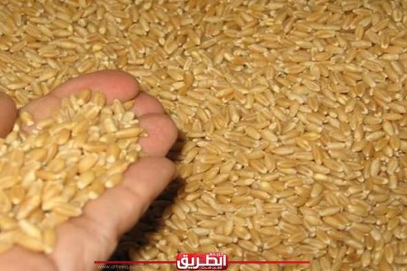 مصر تشتري 470 ألف طن من القمح في ممارسة دوليةاليوم الثلاثاء، 25 يونيو 2024 09:49 مـ