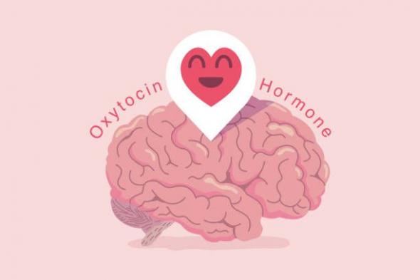 هرمون الحب الأوكسيتوسين قد يساعد الآباء على التواصل مع أطفالهم الصغار