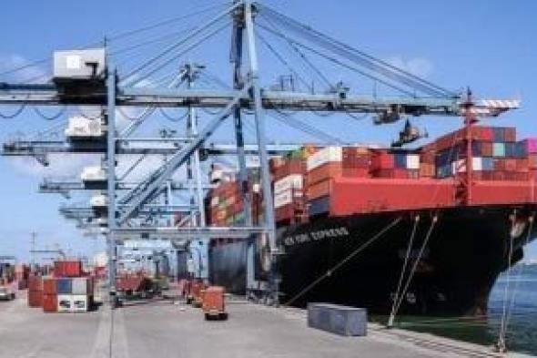 ميناء دمياط يستقبل 38 سفينة متنوعة خلال 24 ساعة
