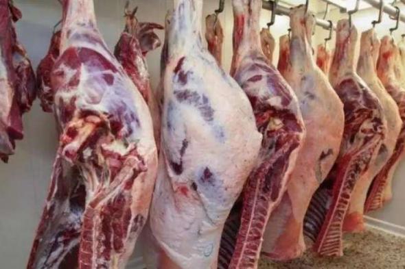 أسعار اللحوم الحمراء فى الاسواق اليوم الاثنيناليوم الإثنين، 1 يوليو 2024 10:30 صـ   منذ ساعة 6 دقائق