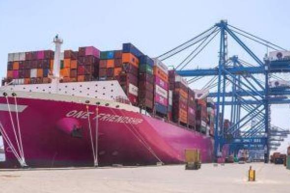 ميناء دمياط يستقبل 13659 طن قمح