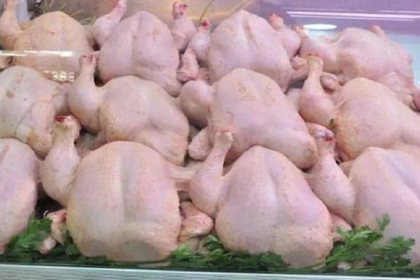 تلاعب “الشناقة” بالأسعار يرفع أسعار الدجاج مجددا، وسط استنكار المستهلكين