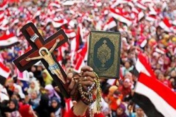 أستاذ علوم سياسية: ثورة 30 يونيو ملحمة وطنية سطرتها إرادة الشعب المصرى