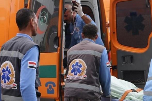 مقتل 10 أشخاص في حادث سير شرقي مصر