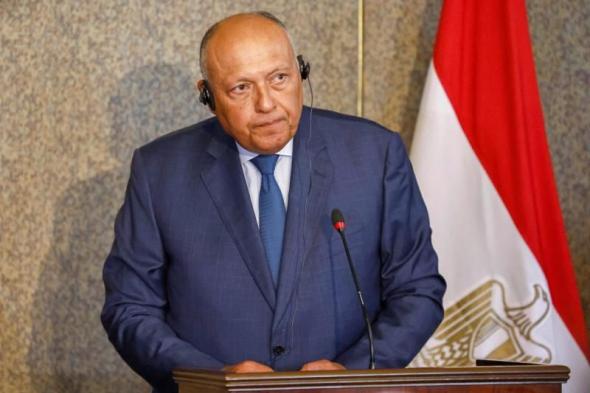 شكرى يؤكد حرص مصر على الانخراط فى جهود الوساطة وتسوية النزاعاتاليوم الثلاثاء، 2 يوليو 2024 10:45 صـ   منذ 52 دقيقة