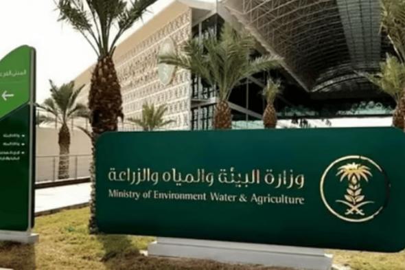 وزارة البيئة: طرح فرصة استثمارية لإنشاء مدينة البن في منطقة الباحة
