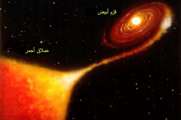"الفلك الدولي": العالم يترقب رؤية انفجار نجم في السماء بالعين المجردة