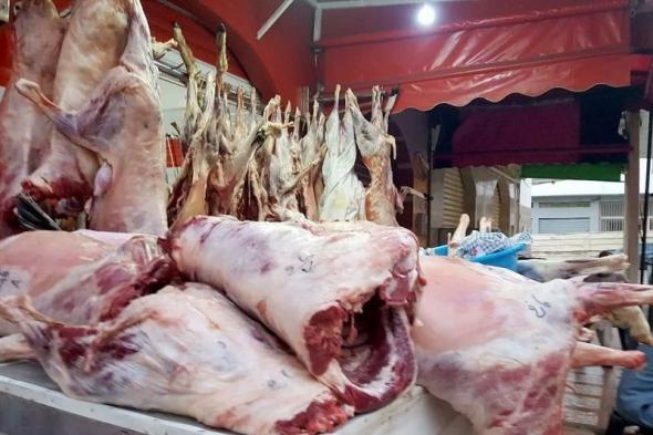 أسعار اللحوم الحمراء تستمر في منحنى الارتفاع بالمغرب مع عودة النشاط بعد عيد الأضحى.