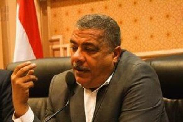 نائب رئيس الحرية المصرى: تنفيذ مخرجات الحوار الوطنى أولوية للحكومة الجديدة