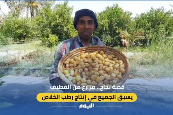 قصة نجاح.. مزارع من القطيف يسبق الجميع في إنتاج رطب الخلاص