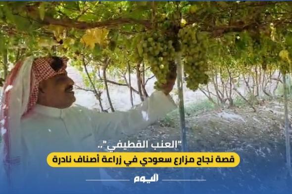 فيديو| "العنب القطيفي".. قصة نجاح مزارع سعودي في إنتاج أصناف نادرة