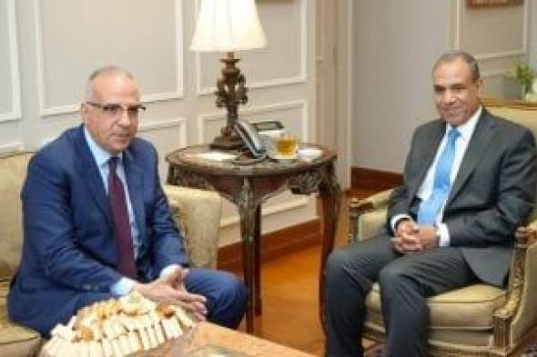 وزير الخارجية والهجرة يبحث مع هانى سويلم التعاون بين الوزارتين
