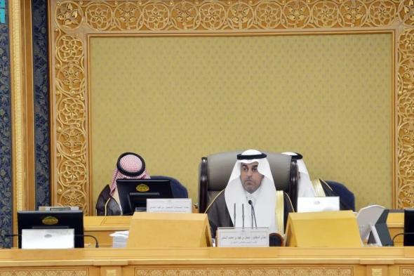 "الشورى" يطالب بمراجعة أنظمة مجال الاستثمار الخارجي المباشر للمستثمر السعودي