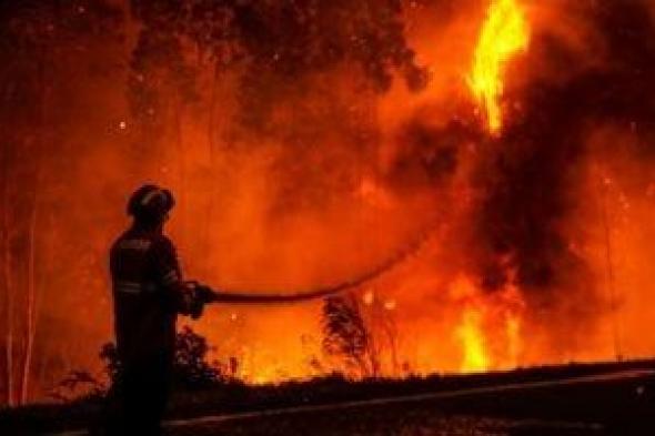 الجزائر تسجل 73 حريقا فى 48 ساعة