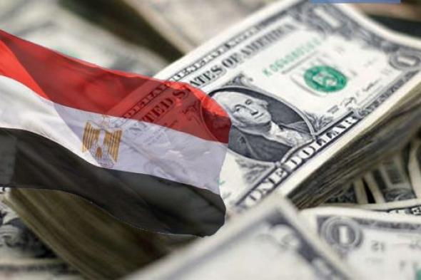مصر تستقبل 2.7 مليار دولار تحويلات من العاملين بالخارج في شهر.. ( زيادة 74%)