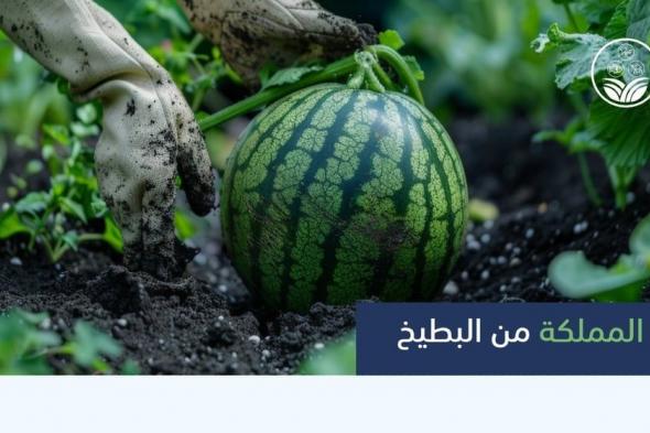 "الإرشاد الزراعي": إجمالي إنتاج المملكة من البطيخ بلغ 605 آلاف طن