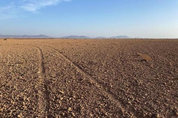 الجفاف يفاقم بطالة الأرياف المغربية