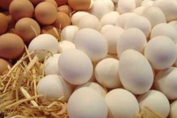 التراجع مستمر : انخفاض جديد في سعر البيض النهاردة