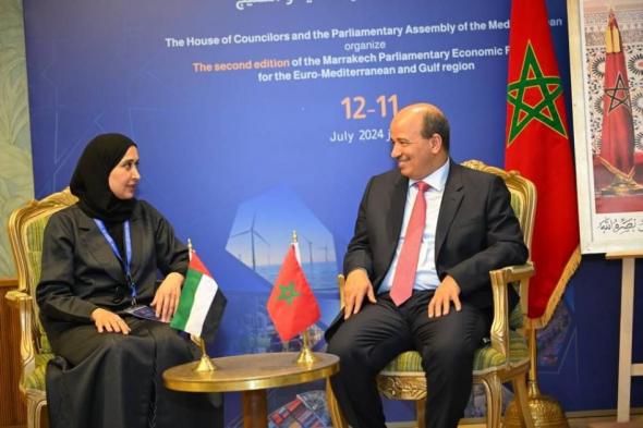 مناقشة سبل تعزيز التعاون البرلماني بين الإمارات والمغرب