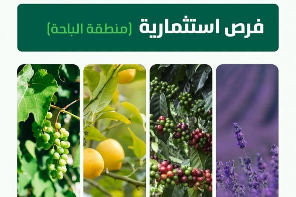«البيئة» تطرح مشاريع زراعية لإنتاج الفاكهة والبن والزهور في منطقة الباحة
