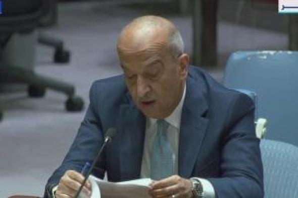 مندوب مصر بالأمم المتحدة: ندين الانتهاكات الممنهجة ضد المدنيين فى غزة