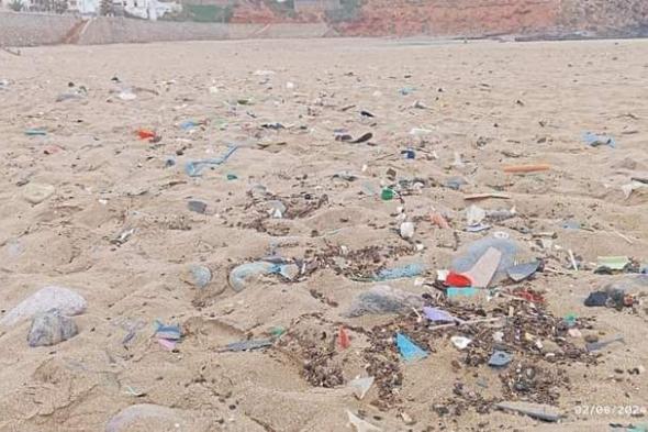 النفايات تغزو شواطئ ميراللفت تزامنا مع بداية موسم الاصطياف