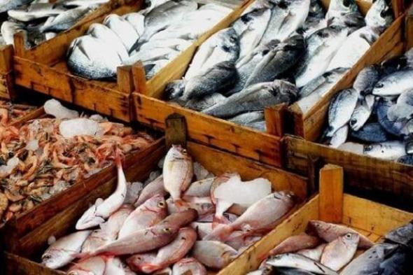 تصدير الأسماك الجزائرية نحو السنغال وكوت ديفوار قريبا