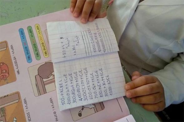 برلمانية تنتقد “الازدواجية” في تدريس اللغة الأمازيغية بين التعليم العمومي والتعليم الخصوصي بالمغرب