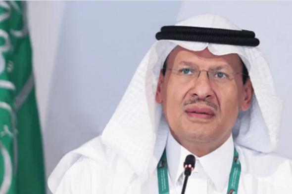 وزير الطاقة يبحث تعزيز أوجه التعاون مع مصر
