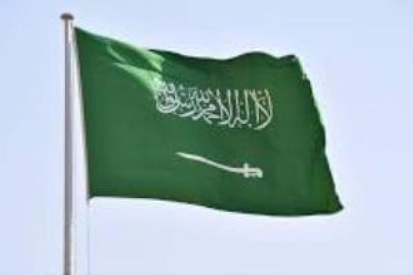 السعودية وجورجيا تبحثان سبل تعزيز العلاقات الثنائية في مختلف المجالات