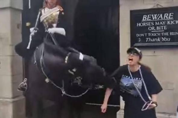 فيديو | حصان بالحرس الملكي البريطاني يباغت سائحة بـ «عضة قوية»