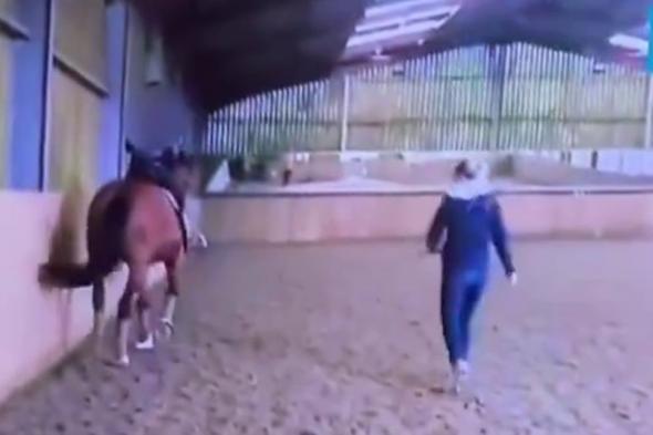 شاهد.. فيديو "الحصان" الذي تسبب بإيقاف فارسة بريطانية وانسحابها من أولمبياد باريس