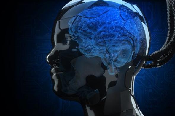 استخدام نسيج دماغي بشري مُصنَّع مخبريًا للتحكم في الروبوتات