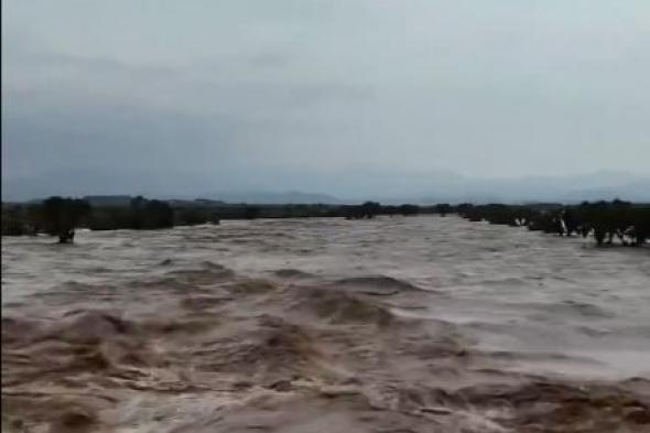 لقطات لجريان وتدفق السيول في وادي بيض جنوب محافظة الدرب