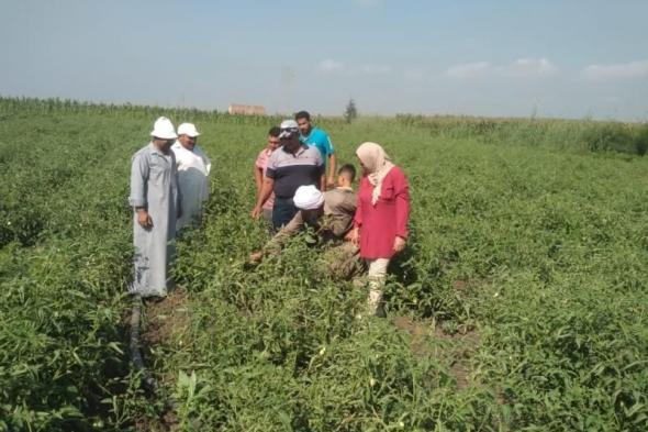 الزراعة: حصاد أنشطة مبادرة المراكز الإرشادية الزراعية خلال شهر أغسطس 2024اليوم الأحد، 1 سبتمبر 2024 11:00 صـ   منذ 36 دقيقة