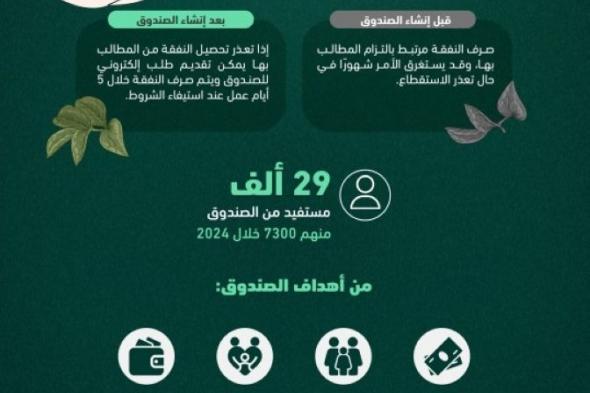 صندوق النفقة.. إجراءات إلكترونية ميسّرة تضمن صرف النفقة للمستفيدين دون تأخير