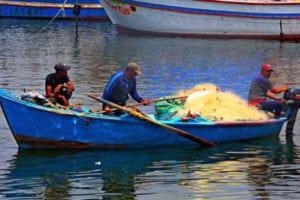 صيد السمك غية.. مغامرات ورحلات صيد الأسماك فى الإسكندرية