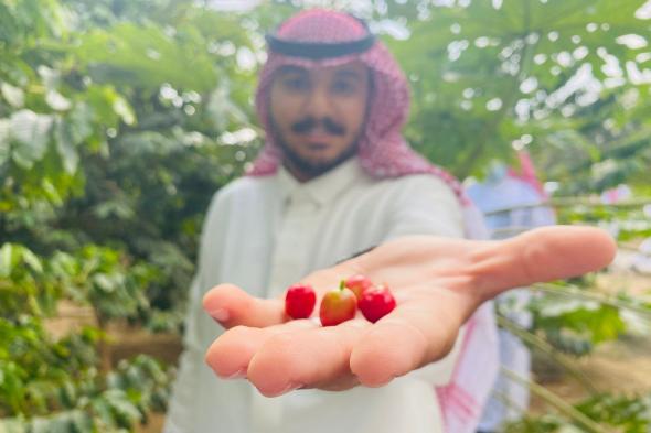 جامعة جازان.. تسجيل 4 براءات نباتية جديدة لأصناف البُن السعودي