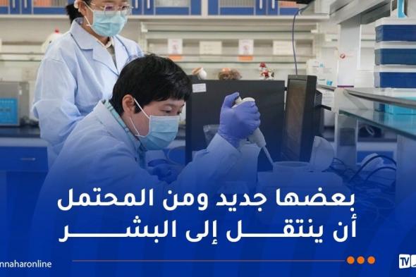 اكتشاف مئات الفيروسات عالية الخطورة في مزارع بالصين